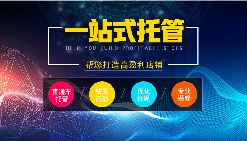 站群程序出售：解锁电商成功之路的秘密武器